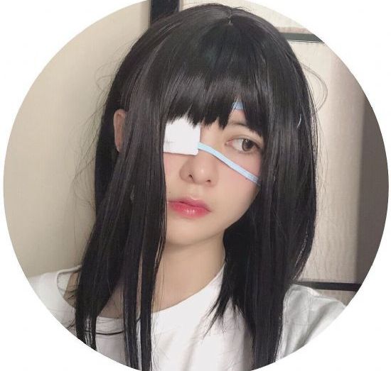 一枝一叶总关情 电视剧