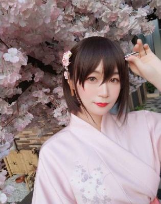 《皓衣行》电视剧免费观看全集