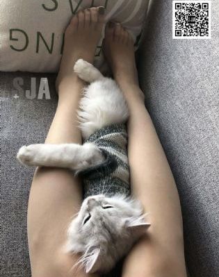 肉体秘书hd欧美电影