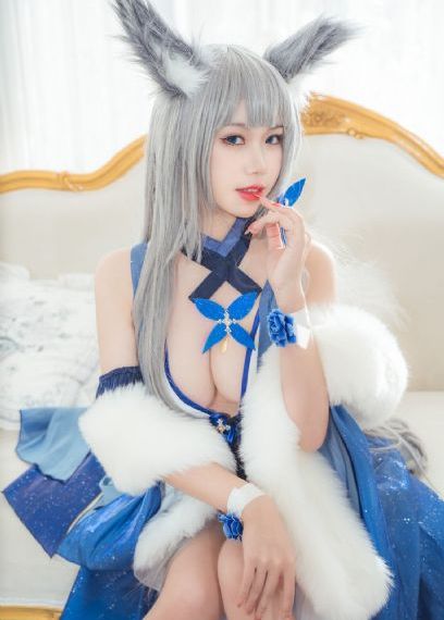 茶杯狐 cupfox 茶杯狐
