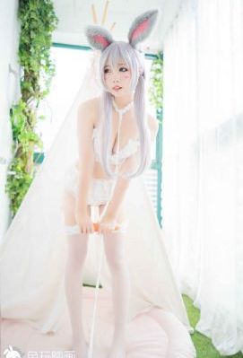 瞳孔中的暗杀者免费观看中配版