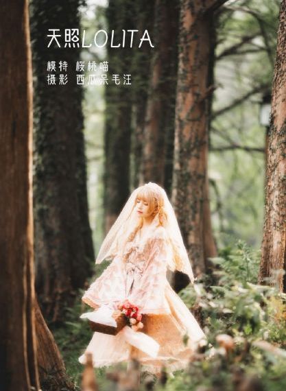 安居电视剧在线观看全集免费播放
