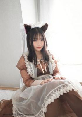 侠岚免费观看完整版
